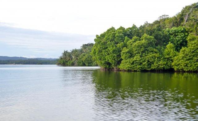 Villa Sunimal Unawatuna Exteriér fotografie